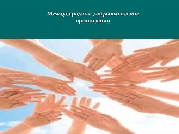 Международные добровольческие   организации 