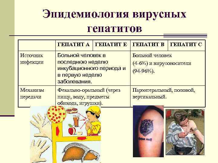 Стул при вирусных гепатитах