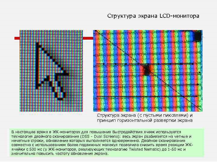      Структура экрана LCD-монитора     Структура экрана