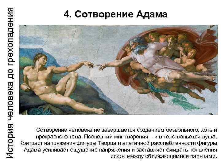 История человека до грехопадения   4. Сотворение Адама     Сотворение