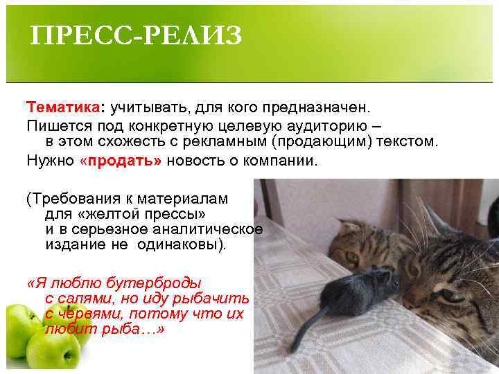 ПРЕСС-РЕЛИЗ Тематика: учитывать, для кого предназначен. Пишется под конкретную целевую аудиторию –  в