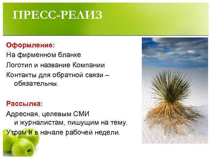  ПРЕСС-РЕЛИЗ Оформление: На фирменном бланке Логотип и название Компании Контакты для обратной связи