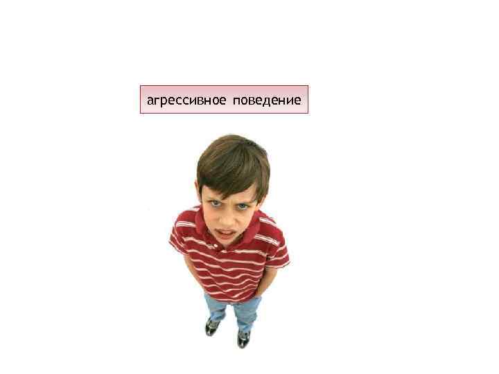 агрессивное поведение 