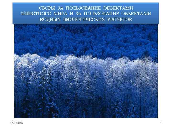   СБОРЫ ЗА ПОЛЬЗОВАНИЕ ОБЪЕКТАМИ  ЖИВОТНОГО МИРА И ЗА ПОЛЬЗОВАНИЕ ОБЪЕКТАМИ 