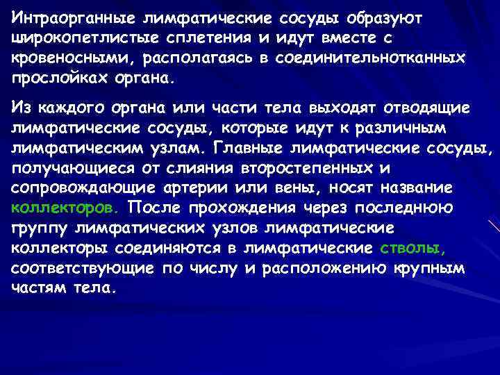 Интраорганные лимфатические сосуды образуют широкопетлистые сплетения и идут вместе с кровеносными, располагаясь в соединительнотканных