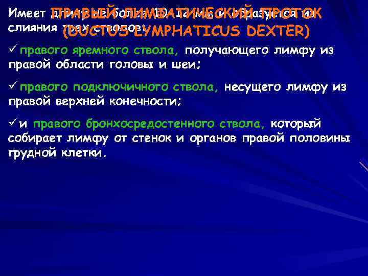 Имеет ПРАВЫЙ ЛИМФАТИЧЕСКИЙ ПРОТОК  длину не более 10 -12 мм и образуется из