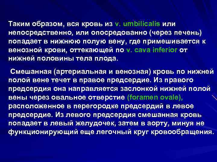 Таким образом, вся кровь из v. umbilicalis или непосредственно, или опосредованно (через печень) попадает