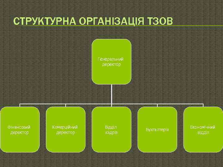  СТРУКТУРНА ОРГАНІЗАЦІЯ ТЗОВ     Генеральний     деректор