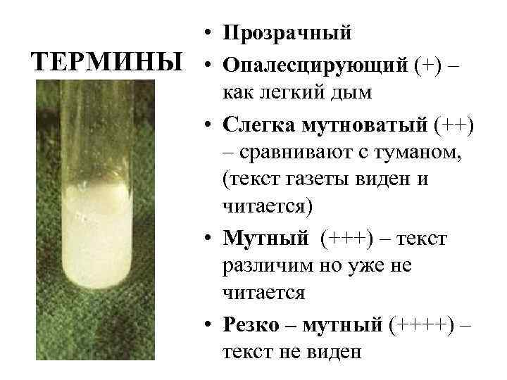   • Прозрачный ТЕРМИНЫ  • Опалесцирующий (+) –   как легкий