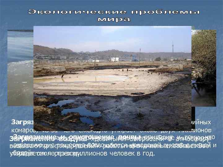  Загрязнение воды приводит к размножению малярийных      комаров, 