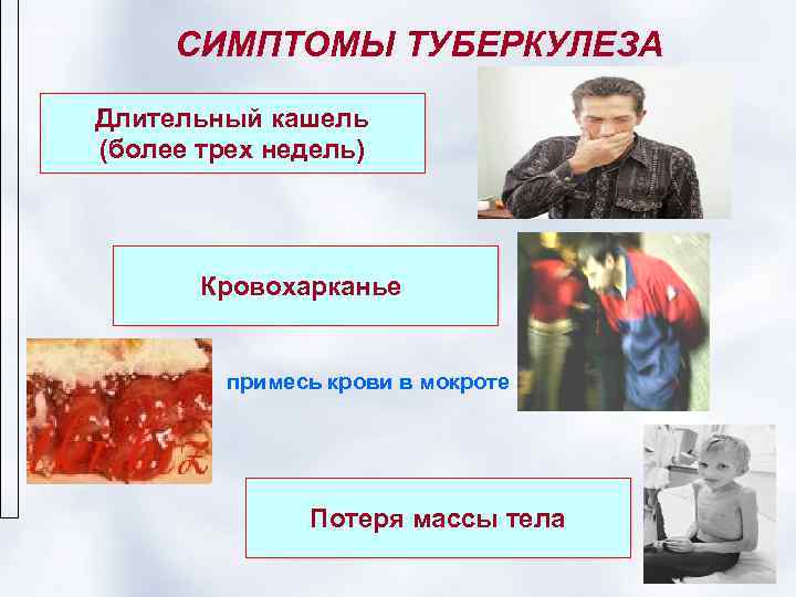  СИМПТОМЫ ТУБЕРКУЛЕЗА Длительный кашель (более трех недель)  Кровохарканье  примесь крови в