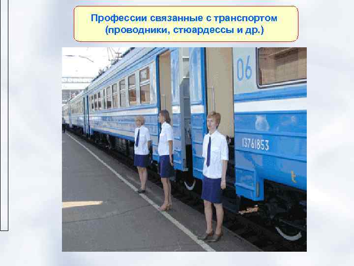 Профессии связанные с транспортом  (проводники, стюардессы и др. ) 