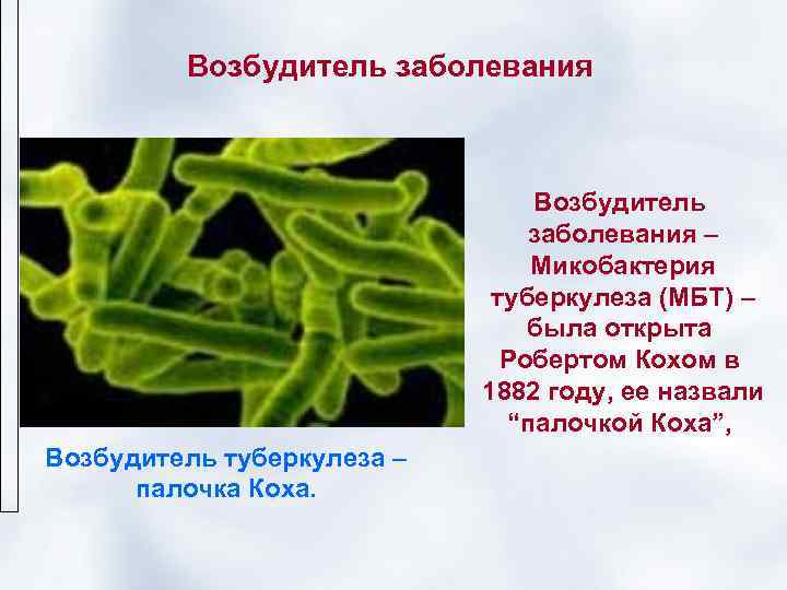    Возбудитель заболевания      Возбудитель   