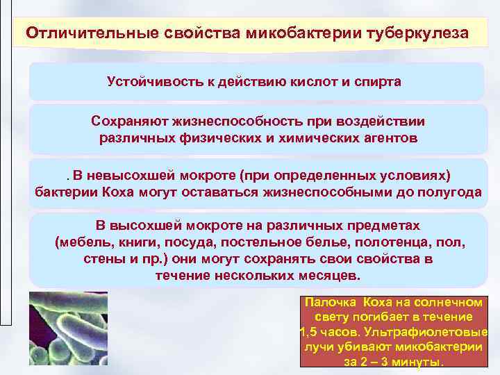 Отличительные свойства микобактерии туберкулеза  Устойчивость к действию кислот и спирта   Сохраняют