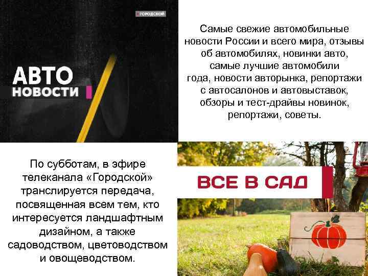        Самые свежие автомобильные    