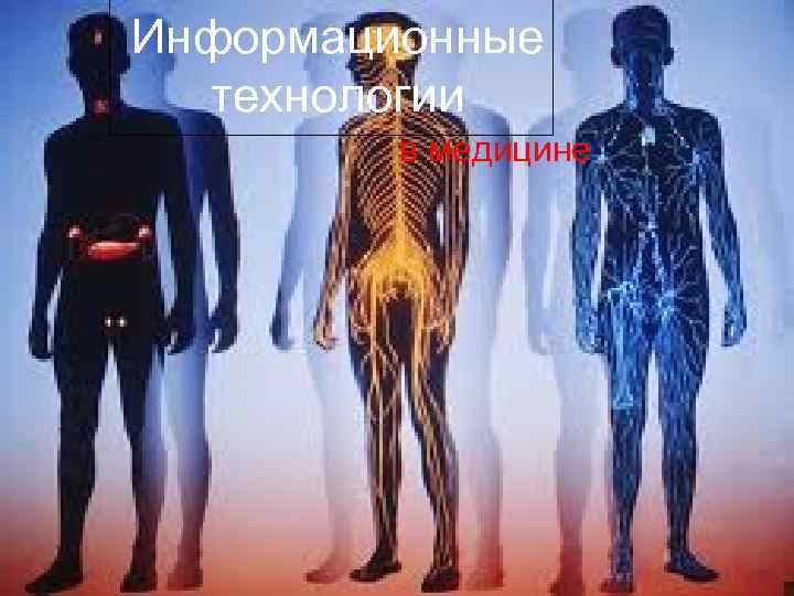 Информационные  технологии   в медицине 
