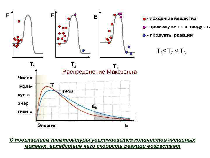 E     - исходные вещества      