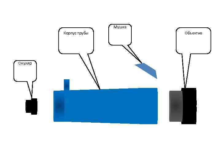     Мушка   Корпус трубы  Объектив Окуляр 