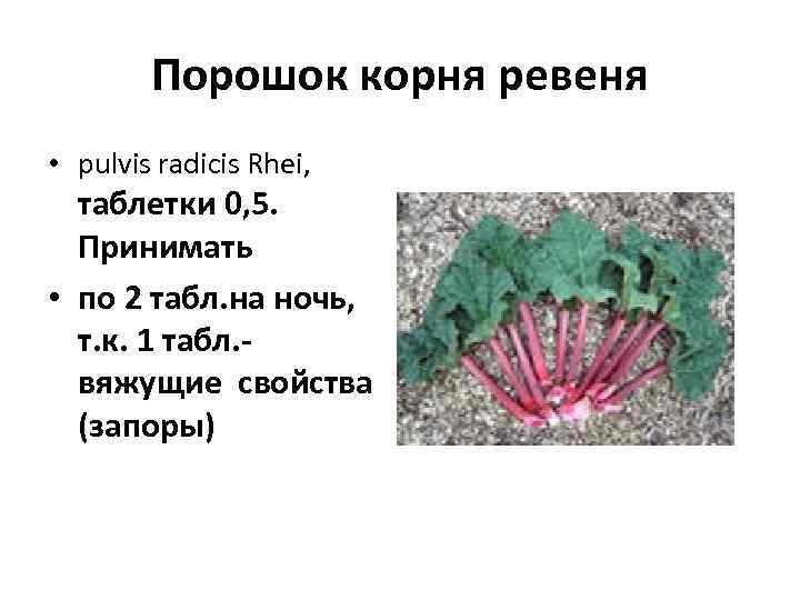   Порошок корня ревеня  • pulvis radicis Rhei, таблетки 0, 5. Принимать