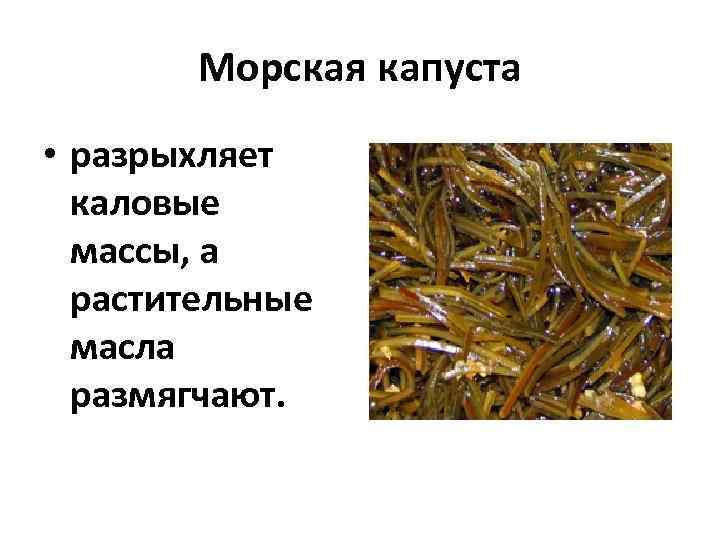   Морская капуста • разрыхляет  каловые  массы, а  растительные 