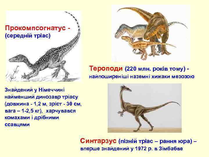 Прокомпсогнатус -  (середній тріас)       Тероподи (220 млн.