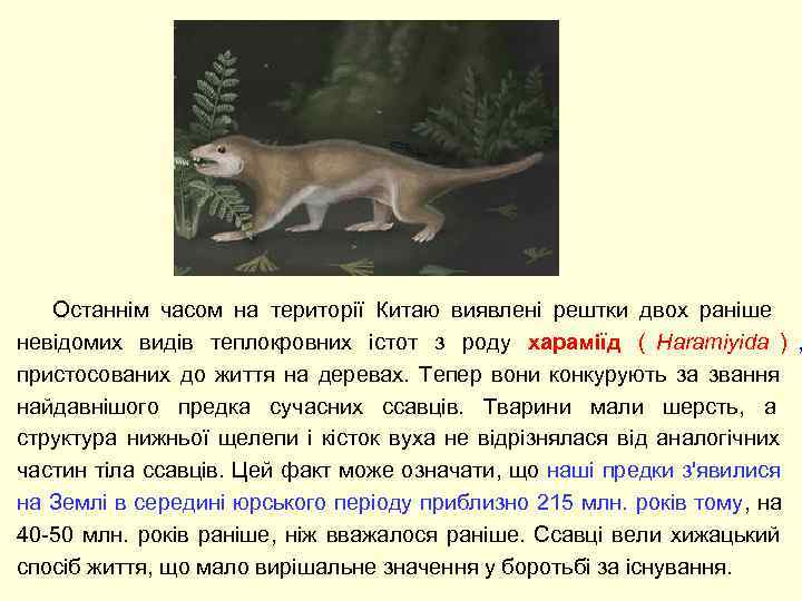  Останнім часом на території Китаю виявлені рештки двох раніше невідомих видів теплокровних істот