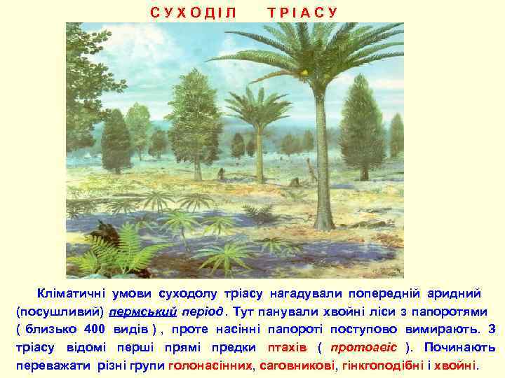      С У Х О Д І Л  Т