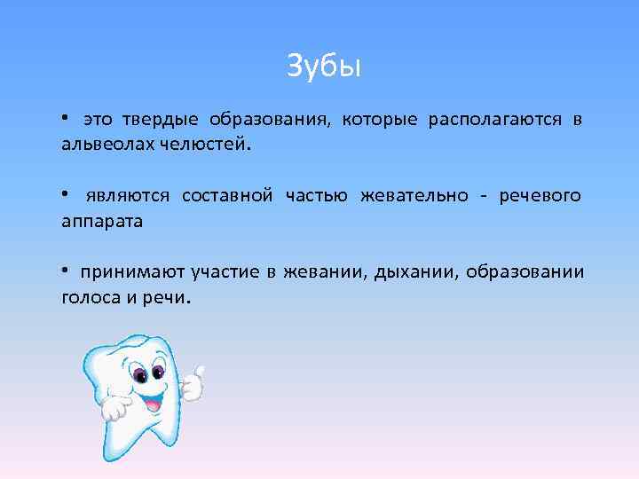     Зубы  •  это твердые образования,  которые располагаются
