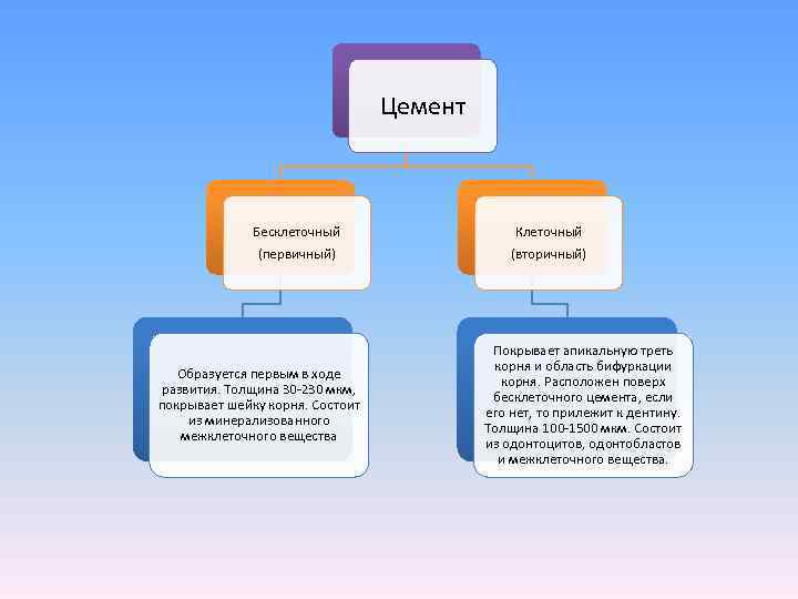        Цемент   Бесклеточный   