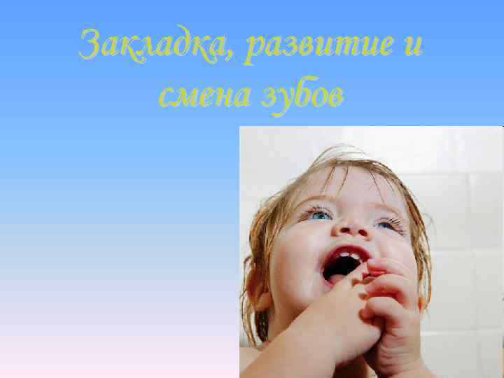 Закладка, развитие и смена зубов 