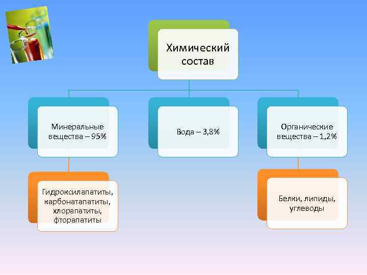      Химический     состав  Минеральные 