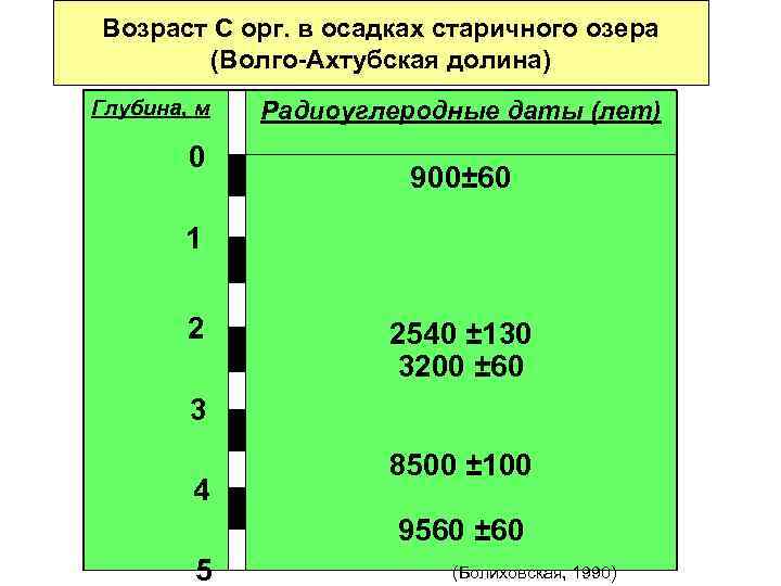 Возраст С орг. в осадках старичного озера  (Волго-Ахтубская долина) Глубина, м  Радиоуглеродные