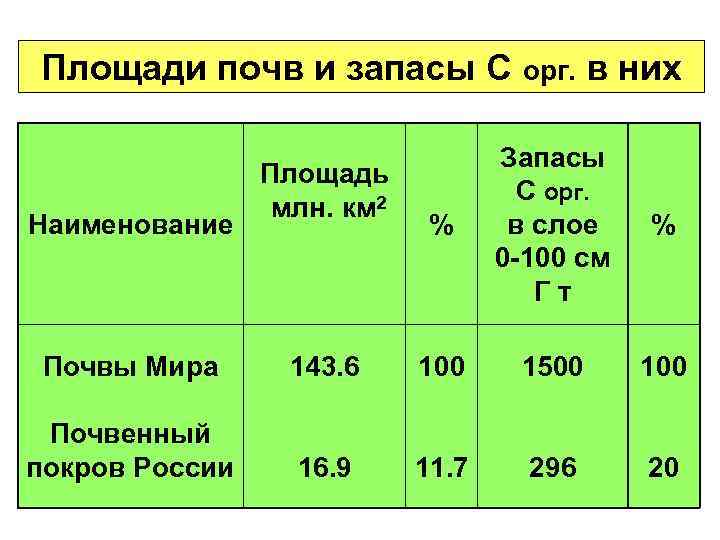 Площади почв и запасы С орг. в них      