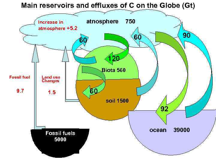  Main reservoirs and effluxes of С on the Globe (Gt)   