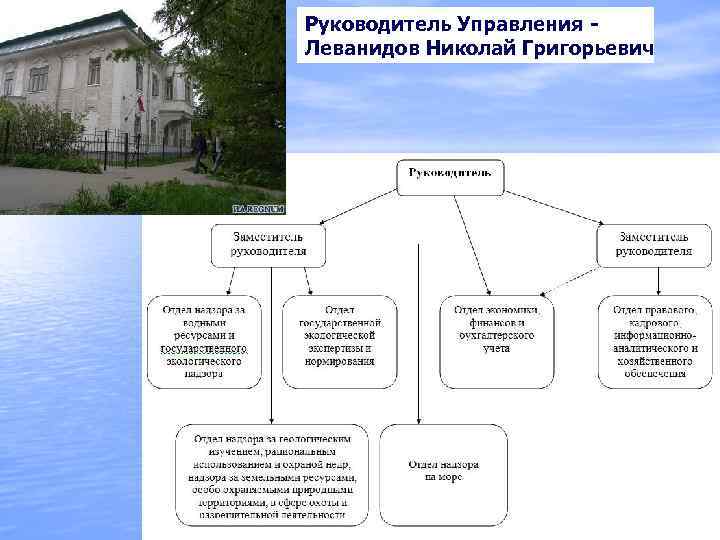 Руководитель Управления - Леванидов Николай Григорьевич 