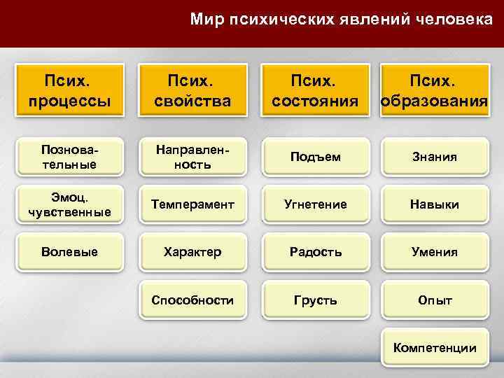     Мир психических явлений человека Псих. процессы свойства состояния  образования