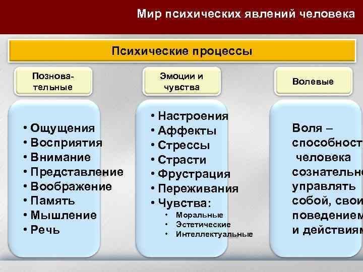    Мир психических явлений человека    Психические процессы  Познова-