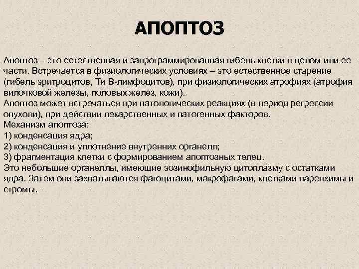       АПОПТОЗ Апоптоз – это естественная и запрограммированная гибель