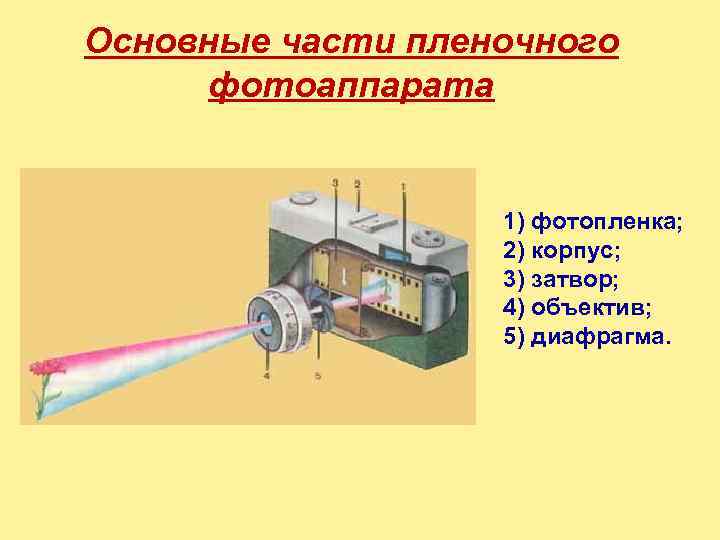 Основные части пленочного  фотоаппарата    1) фотопленка;    