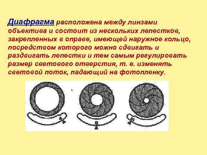Диафрагма расположена между линзами объектива и состоит из нескольких лепестков,  закрепленных в оправе,
