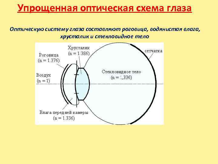  Упрощенная оптическая схема глаза Оптическую систему глаза составляют роговица, водянистая влага,  