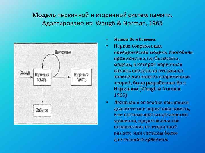 Модели памяти. Когнитивная модель памяти Нормана. Модель систем памяти во и Нормана. Первичная и вторичная память. Современная модель памяти.