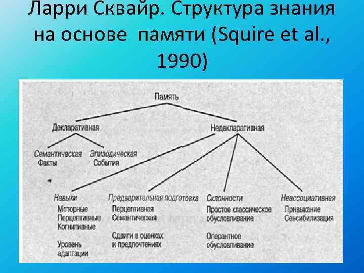 Ларри Сквайр. Структура знания на основе памяти (Squire et al. ,   