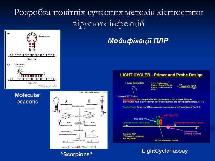Розробка новітніх сучасних методів діагностики    вірусних інфекцій    