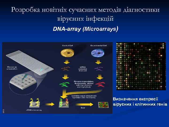 Розробка новітніх сучасних методів діагностики    вірусних інфекцій   DNA-array (Microarrays)