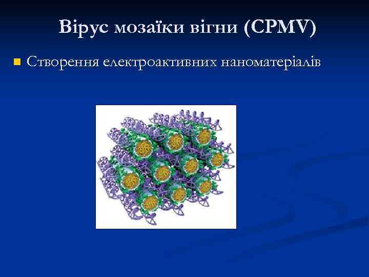   Вірус мозаїки вігни (CPMV) n  Створення електроактивних наноматеріалів 