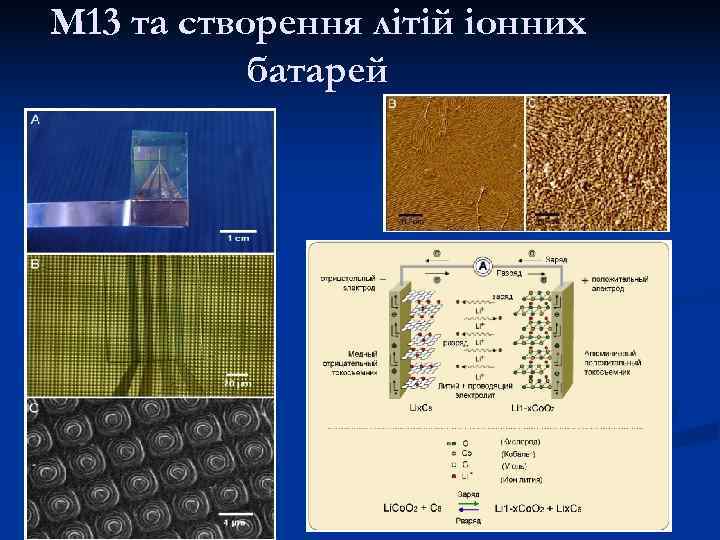 M 13 та створення літій іонних  батарей 