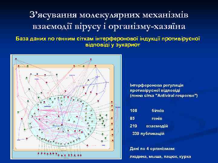   З’ясування молекулярних механізмів взаємодії вірусу і організму-хазяїна База даних по генним сіткам