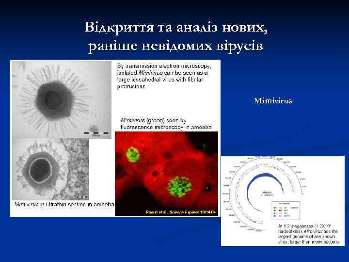 Відкриття та аналіз нових, раніше невідомих вірусів      Mimivirus 
