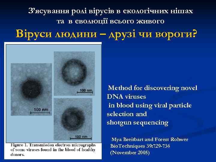  З’ясування ролі вірусів в екологічних нішах   та в еволюції всього живого